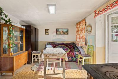 Gospodarie autentică bănățeană, cu teren generos și livadă – Frumușeni - 7
