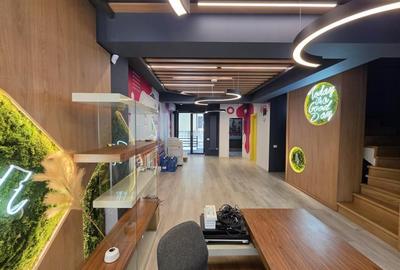 Spațiu de Birouri Arc Triumf – 310 m² - 19
