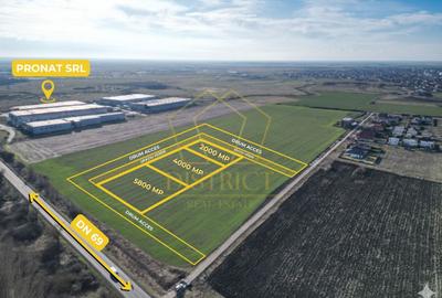 Teren Construcții intravilan de 2000 mp, în Sânandrei