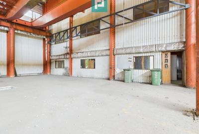 Hală industrială cu pod rulant și parcare betonată - 7