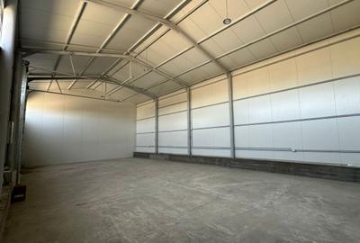 Zona industriala Hala Noua - 1