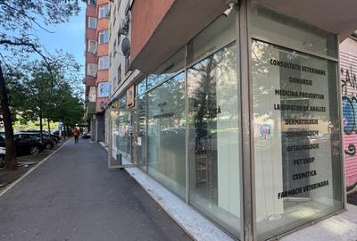 Spatiu Comercial - Calea Mosilor - 2