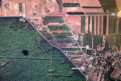 Teren 704 mp Silistea Snagovului vecinatate Padurea Snagov - 5