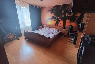 Camil Ressu- Ramnicu Sarat-adiacent- Fizicienilor curte+piscina - 16