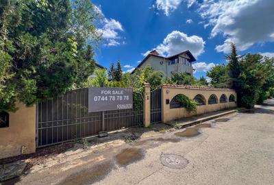 🏡 VILĂ DEOSEBITĂ CU POTENȚIAL EXCEPȚIONAL – IANCU NICOLAE, STRADĂ SELECTĂ! - 3