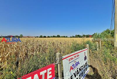 AZURA Imobiliare - Teren la DN7 langa Gaesti, Crangurile - Badulesti - 26