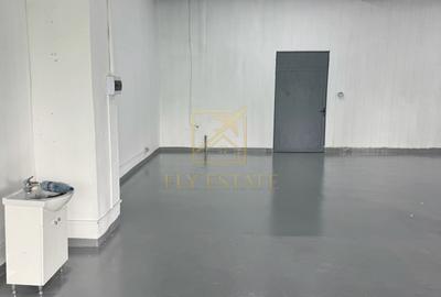 Spatiu Industrial | Pallady - 6