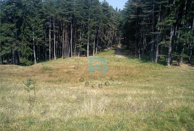 Teren Poiana Angelescu, Sacele, Brasov - 12
