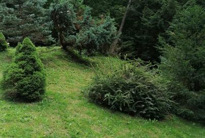 Teren constructie pensiune,  zona Ana Hotels - 1