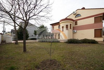 Casă individuală cu 10 camere în Iancu Nicolae