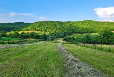 Gaminvest Teren cu panorama superba, de vanzare, Lugasu de Sus, Bihor, V3749