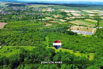 Teren 5,700mp Somcuta Mare / investitie cu potential major - 1