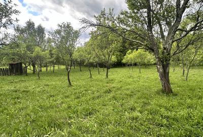 Teren intravilan 3102mp zona Racovita-Blanoiu - 3