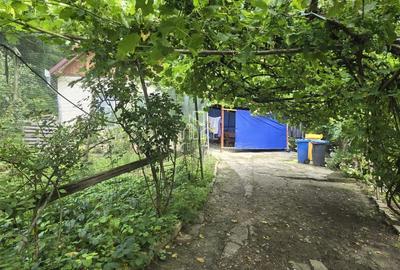 Casa de vanzare, zona Alexandru cel Bun, Sighisoara - 11