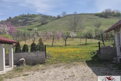 Casa de vanzare in Ocna Mures - Uioara de Jos - 4