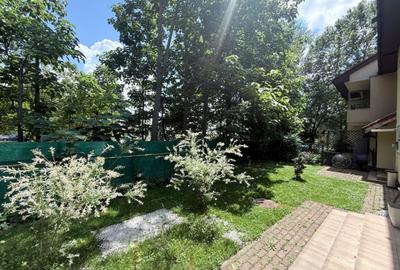Vila 6 camere || Erou Iancu Nicolae || Garaj - 17