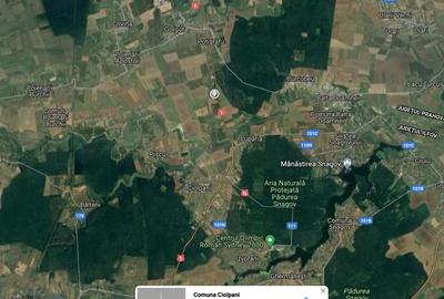 Snagov, CIolpani, Deschidere 61m DN1, Teren Intravilan 4906mp - 7