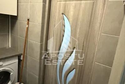 Garsoniera de inchiriat, Timisoara, zona Buziasului-AEM - 5
