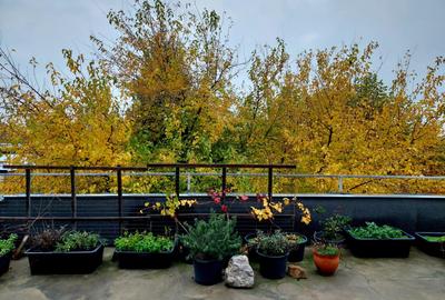 Apartament 3 camere cu terasa superba, Basarabia -Parcul National - 1