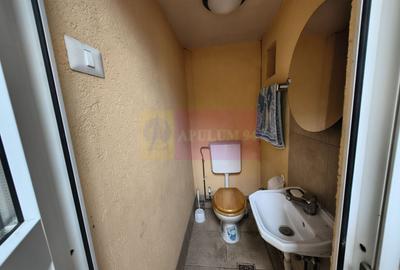 Vilă individuală cu 5 camere, curte proprie în Afumați lângă primărie - 33