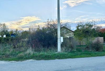 1007mp teren Peris, deschidere 14ml - 6