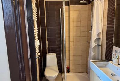 Vand/schimb -Apartament duplex, 109 mp, terasa, magazie , gradina - Tineretului - 3