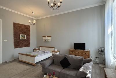 Apartament cu o camera în clădire istorică ,zona Maria - 14