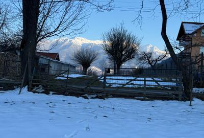 Teren intravilan 763 mp in zona Bran-Tohanita,judetul Brasov - 9