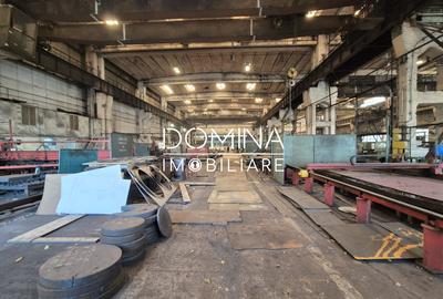 Inchiriere complex industrial versatil *hale - birouri - platforme betonate* - 5