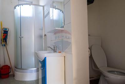 Afumati - vanzare casa si anexe cu teren intravilan, suprafata 700 mp - 21