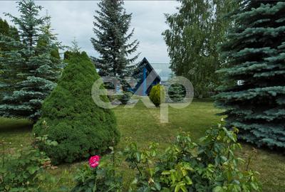 Proprietate industrială cu vizibilitate DN13 – Hală, birouri și teren 6.250 mp - 7