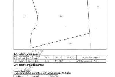 Teren extravilan 5000 MP Comandau - 2