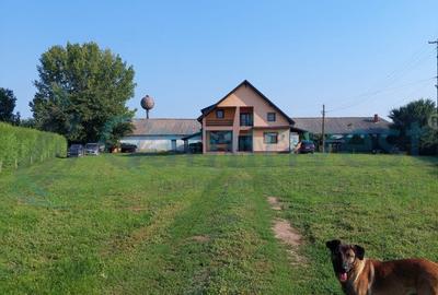 Vilă și fosta fermă 8300 mp în Valea lui Mihai, Bihor - 2