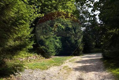 Teren 2000mp intravilan de vanzare in Poiana Brasov! Comision 0%! - 3