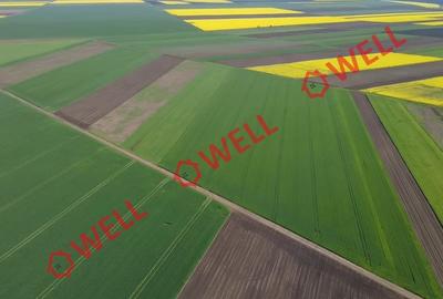 5 terenuri agricole de vânzare în Sântionlunca! - 3