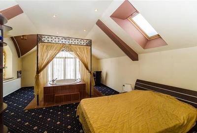 Rafinament in cartier linistit, pe 30.000 mp teren paradis, facilitati Premium - 6