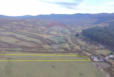 Teren 5.800 mp Purcareni curent, gaz, apă / Strada 30 decembrie - 3
