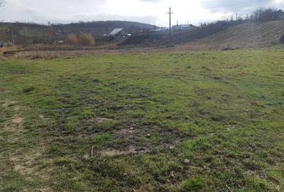 Loc de casa intravilan la Stancesti - 1