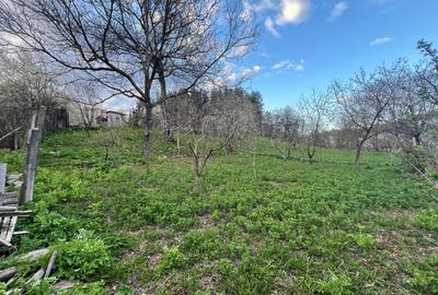 Casă la strada principala, comuna Câmpuri, Vrancea - 10