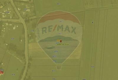 Teren intravilan, 2,900 mp Jucu de Sus, la asfalt - 3