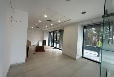 Spatiu comercial de inchiriat | Fabrica de Glucoza | 186 mp - 4