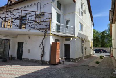 Spatii comerciale de inchiriat - 15
