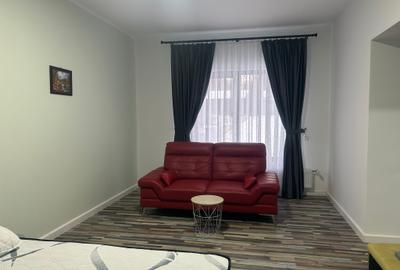 PENSIUNE-2025 , langa Riul MOlDOVA ,6 camere . totul nou , ECHIPATA COMPLET - 1