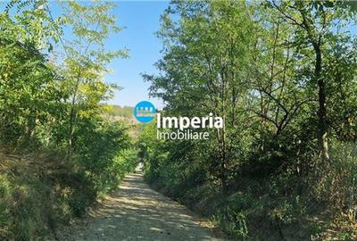 Teren intravilan de vanzare in Iasi, amplasat in zona Holboca-Ruseni - 7
