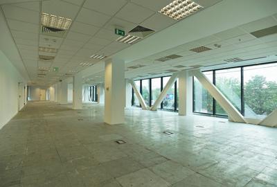 Inchiriere birouri Euro Tower, comision 0% - 9