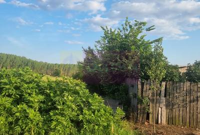VANZARE TEREN 2150 MP IN SAT TEISORI (GR) - 6