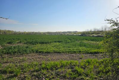 10.100mp TEREN CONSTRUCȚII INTRAVILAN POTIGRAFU, DESCHIDERE 31m direct la DN1 - 12