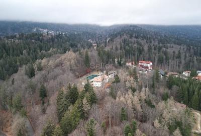 Teren in vecinatatea Castelului Peles - SINAIA - 7