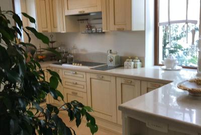 Luxury Residence with Pool and 1000 sqm Garden | Iancu Nicolae - 21