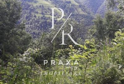 Teren de vanzare 10.000 mp/ parcelabil, cu utiitati, 4 euro/ mp! Maguri Racatau! - 18